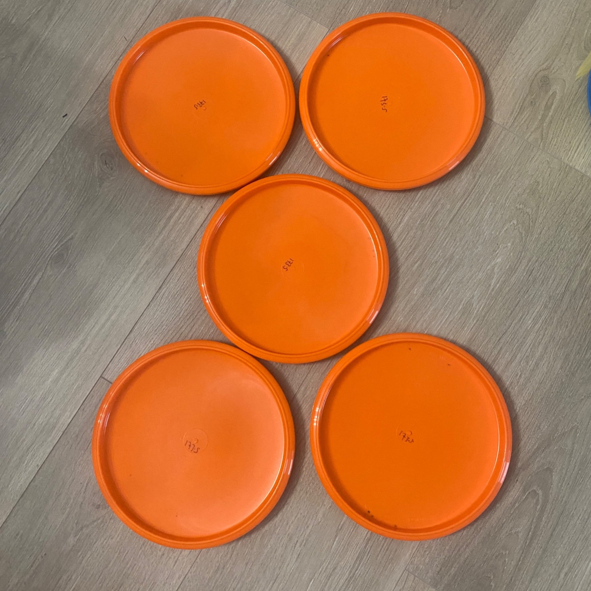 (5) Innova Star Animals (Lot)