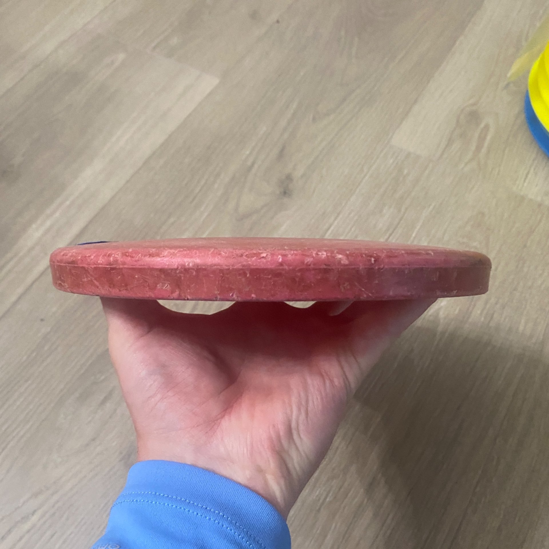 Innova DX Birdie — Pre-thumtrac Circle Stamp