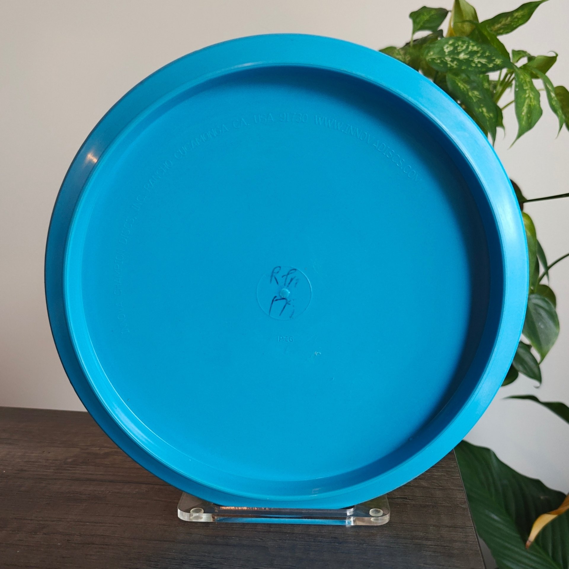 Innova XXL R-Pro War Pig Special Edition (Field Tested) - 173g