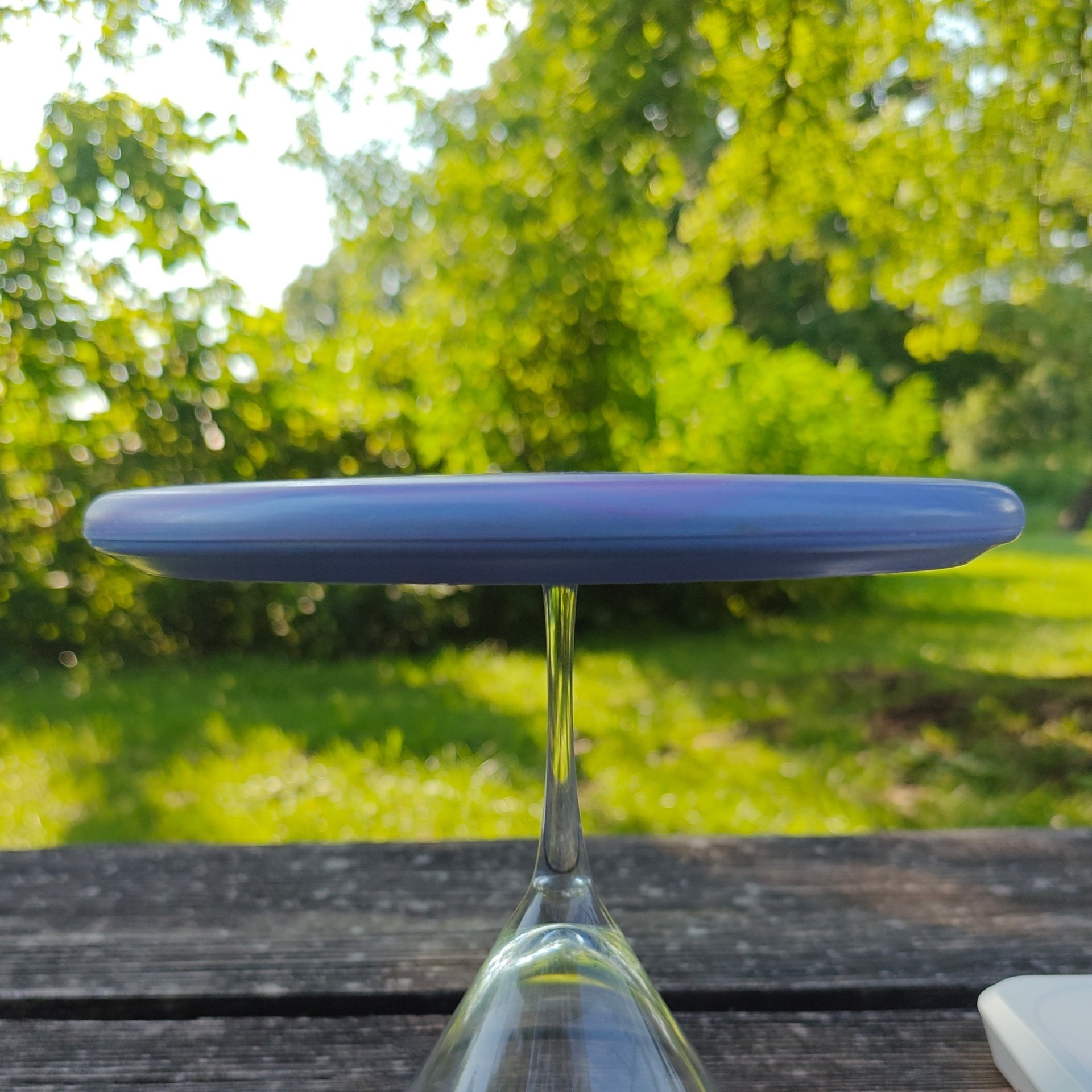 2021 Ricky Wysocki Tour Series Innova Color Glow Pro Pig - 178g