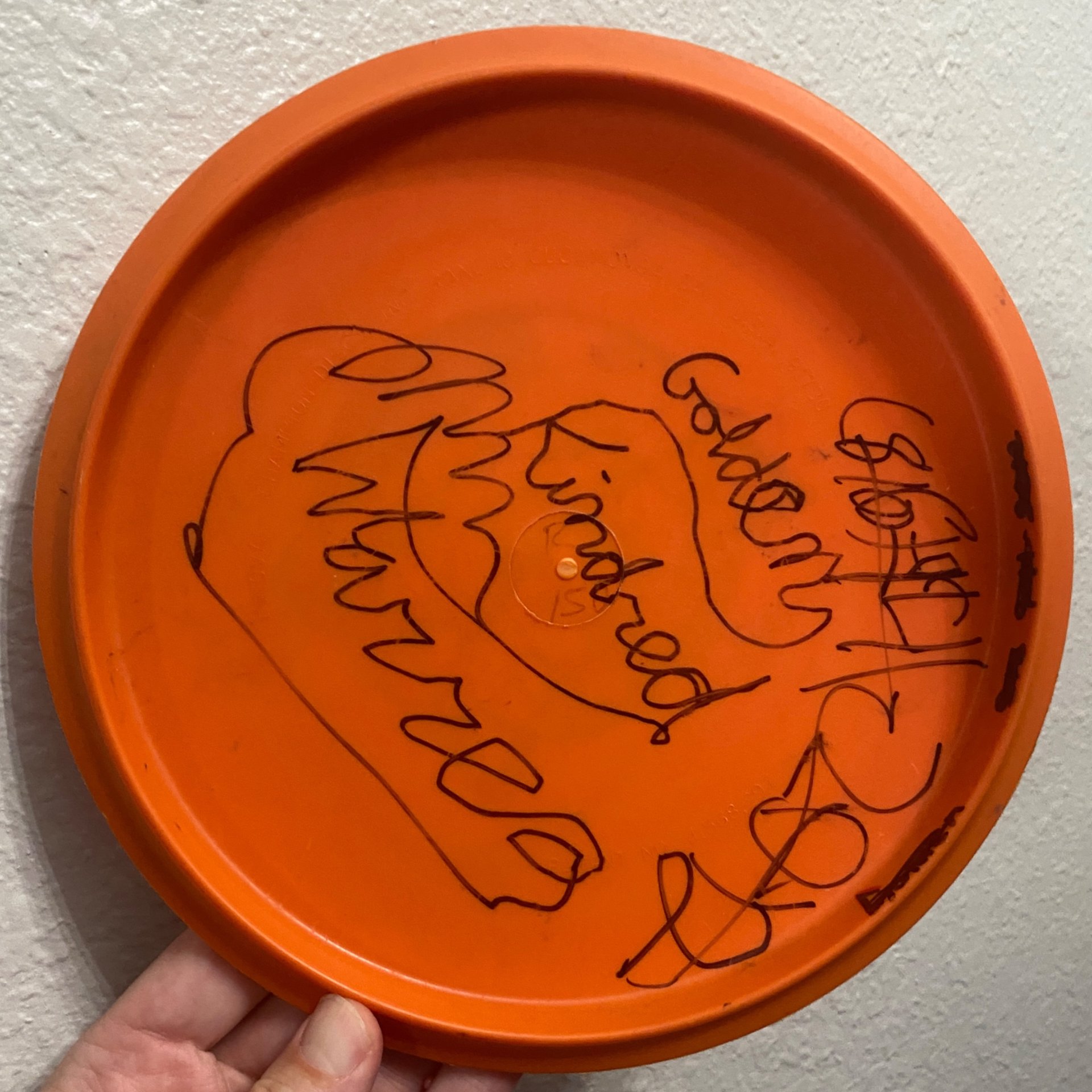 2007 Innova DX Patent # Roc (Ice Bowl)
