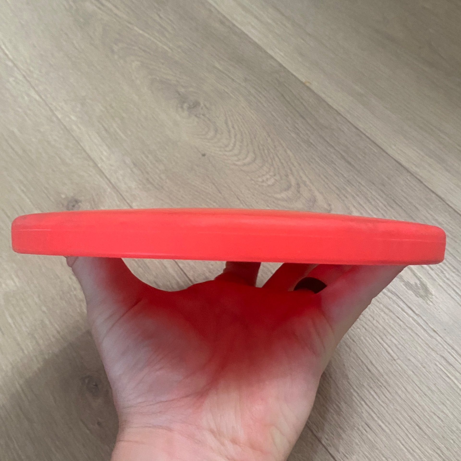 Innova R-Pro Polecat (Double Stamp)