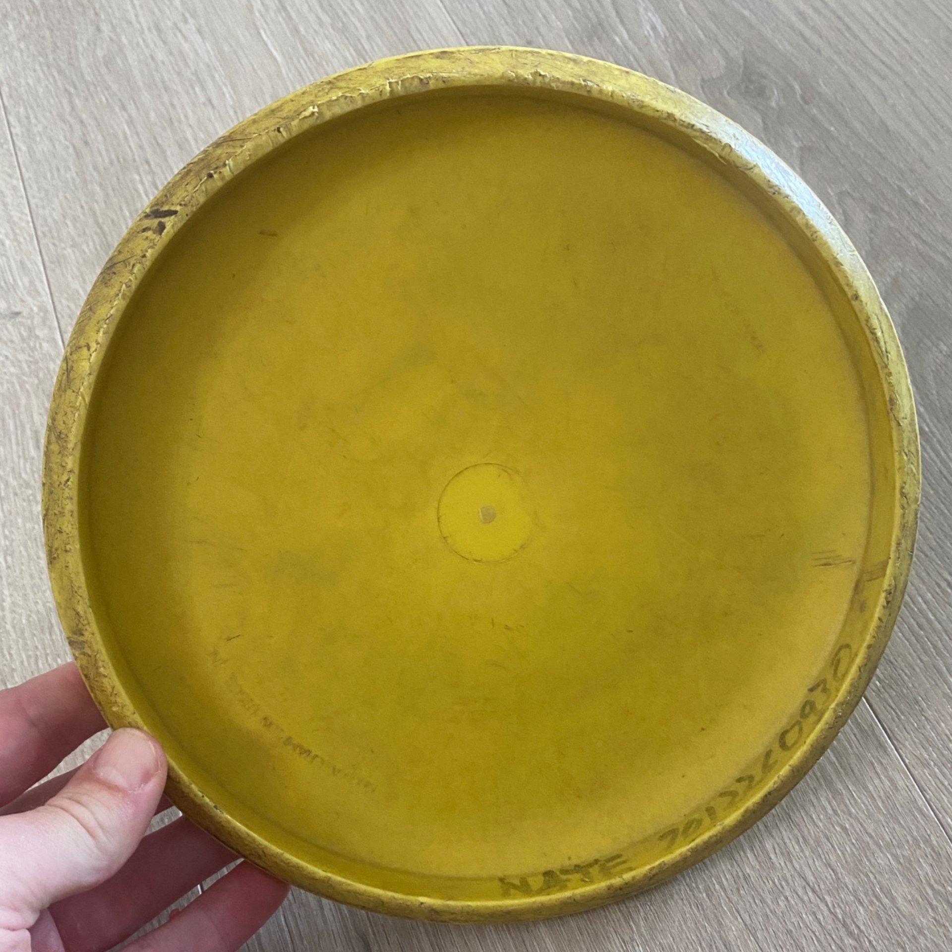 Discmania D-Line P2 (Innova Made 5/10)