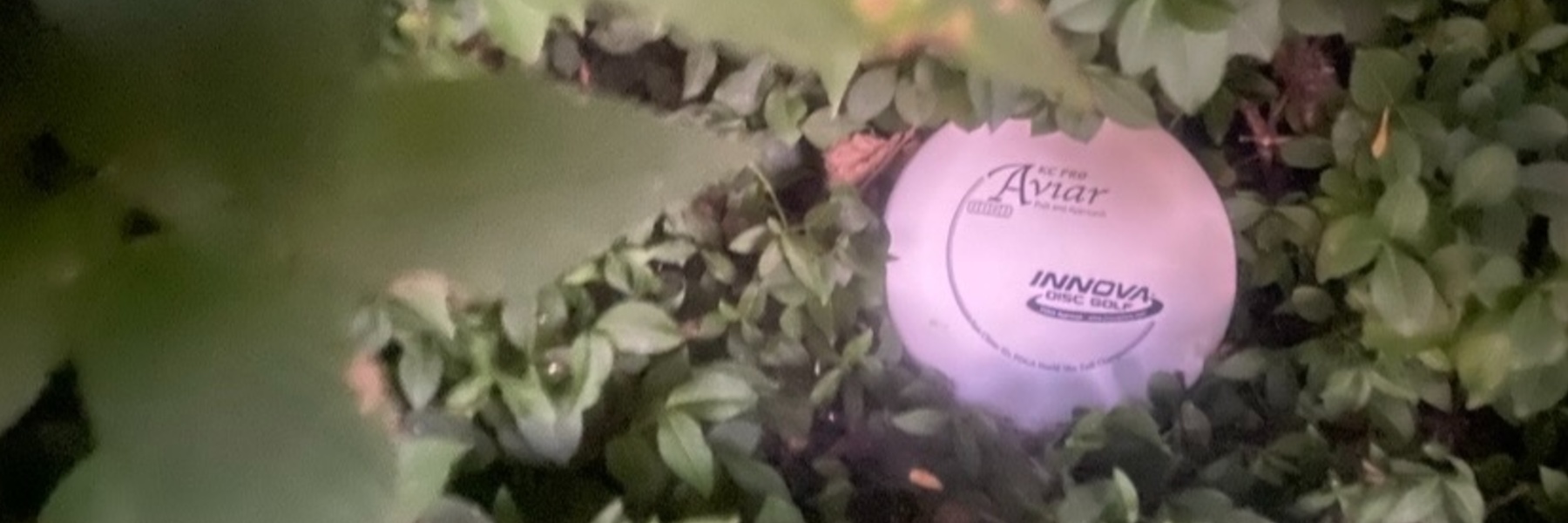 Dave's Disc Dynasty