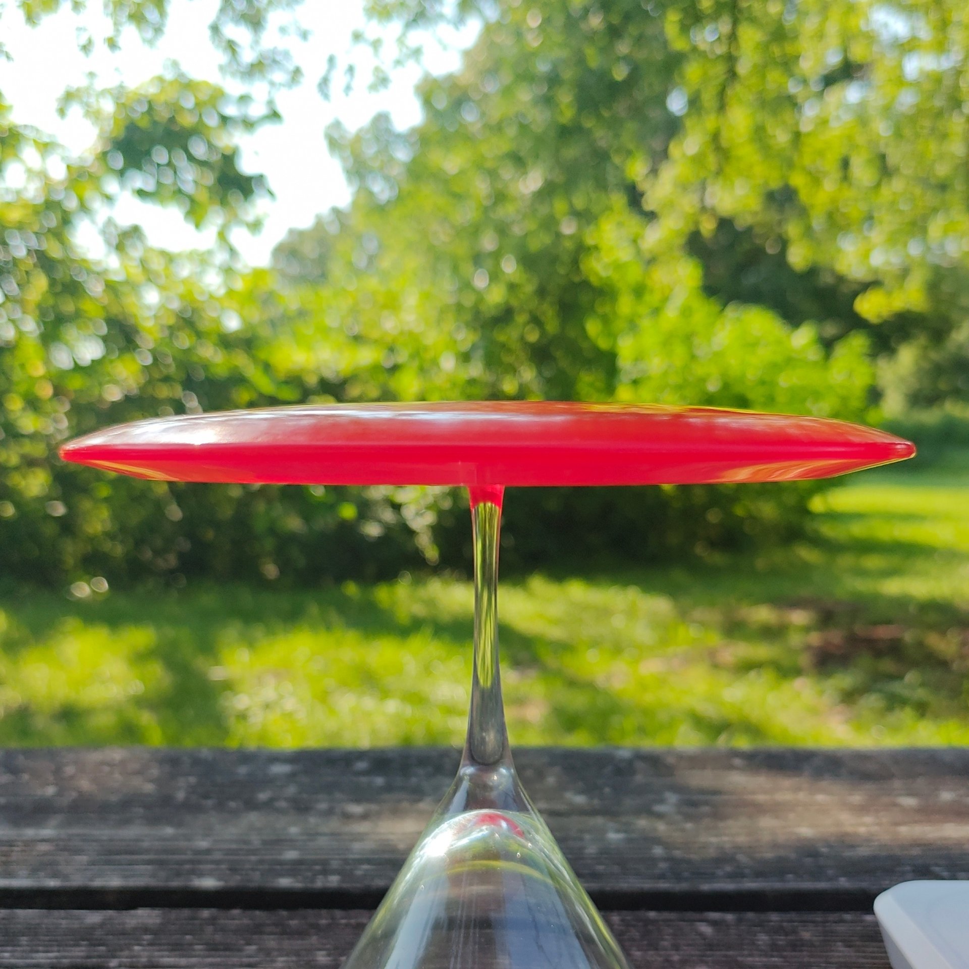 Innova PFN Fingerprinty Champion Sidewinder - 176g