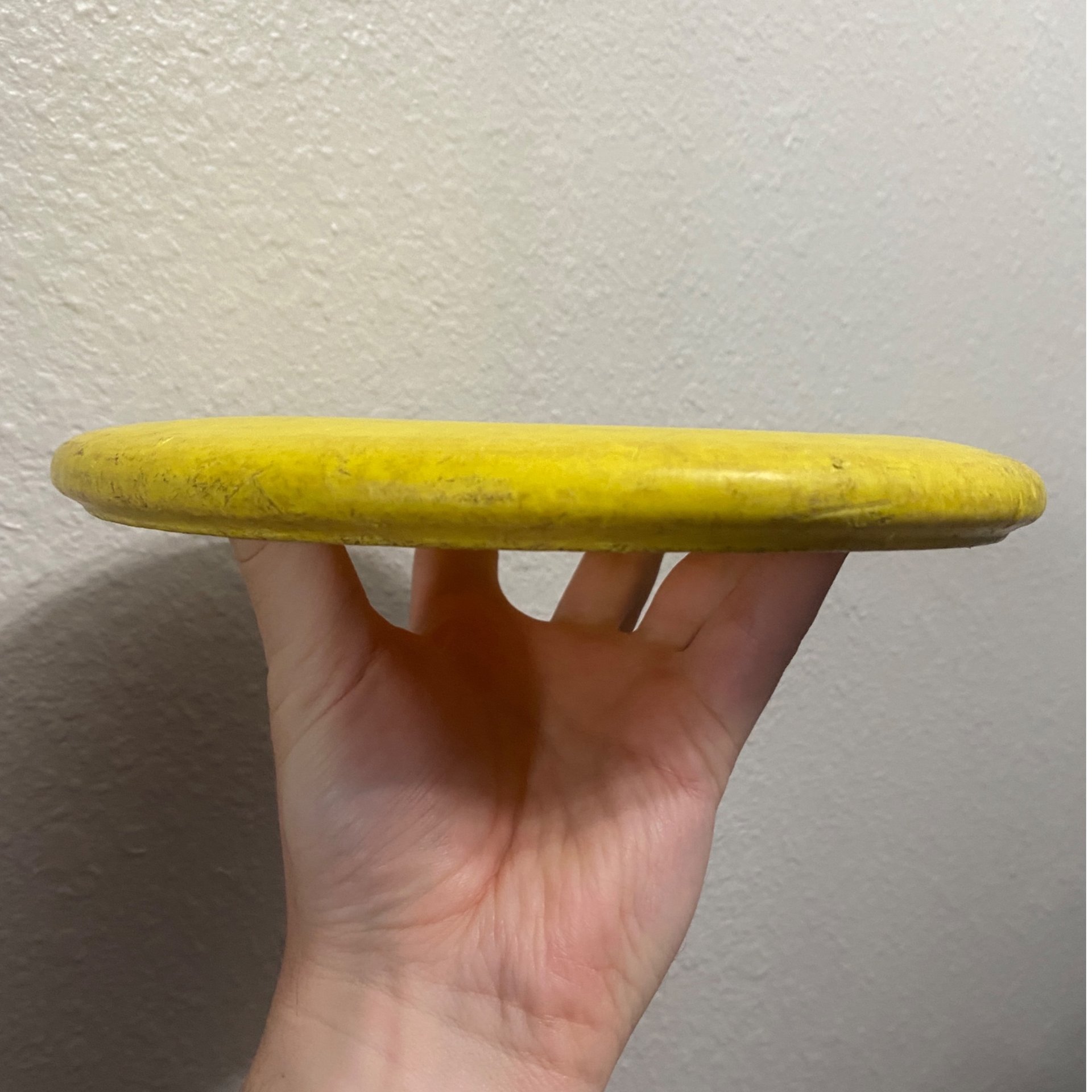 First Run Dynamic Discs Judge