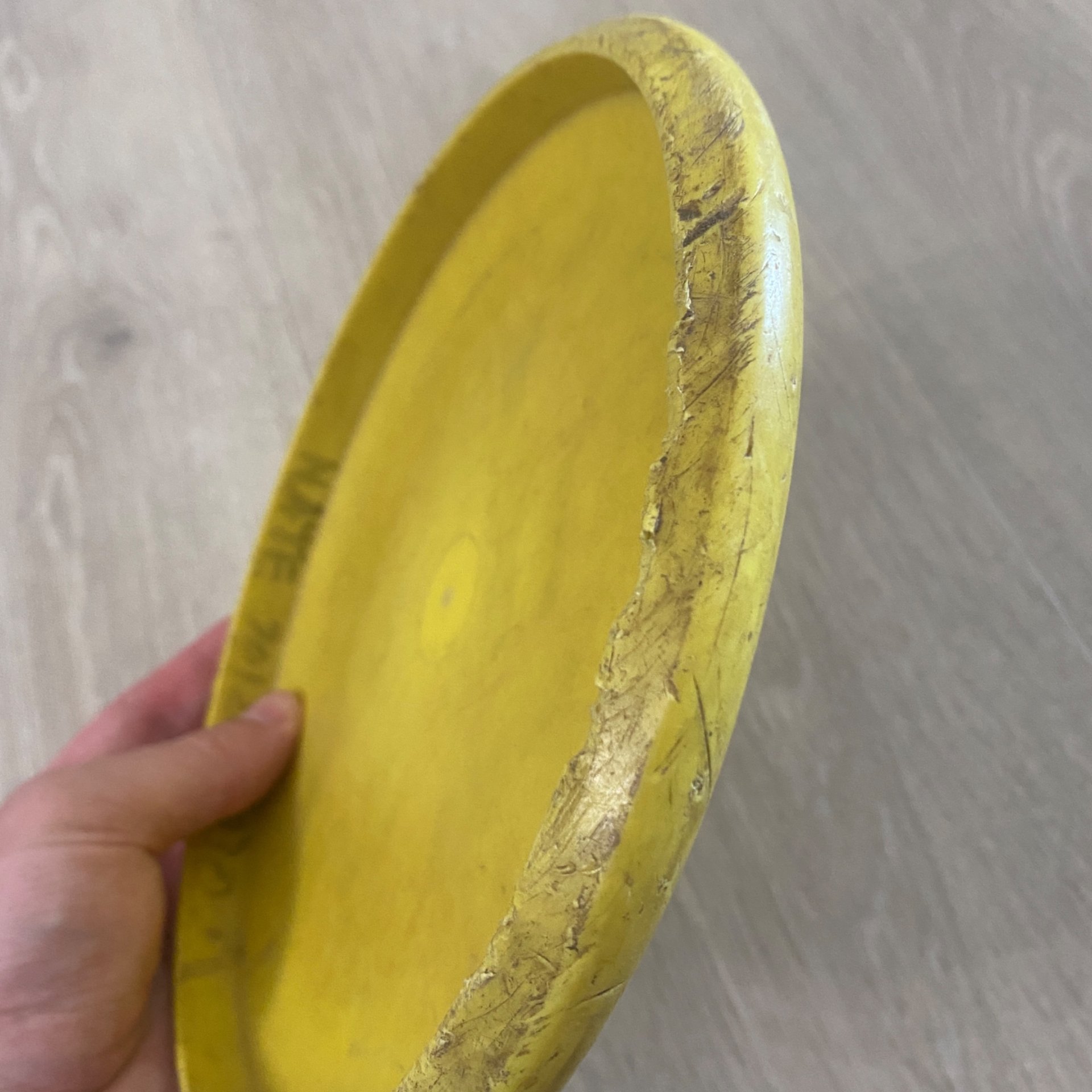 Discmania D-Line P2 (Innova Made 5/10)