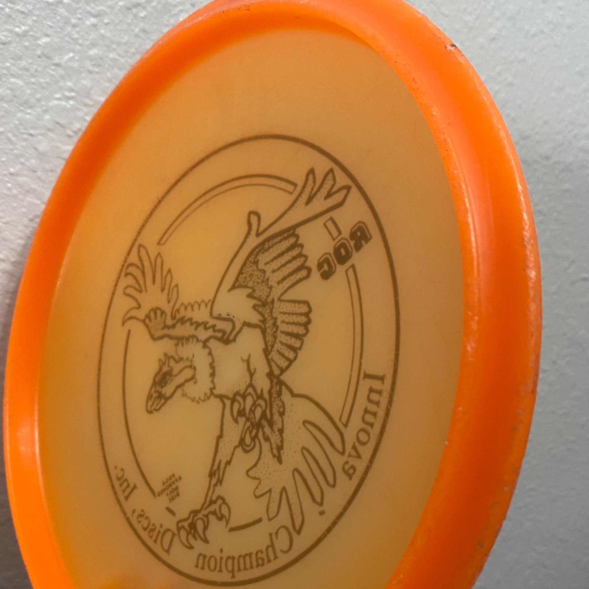 Innova DX Roc (Premie Pebble) 110g Big Bird