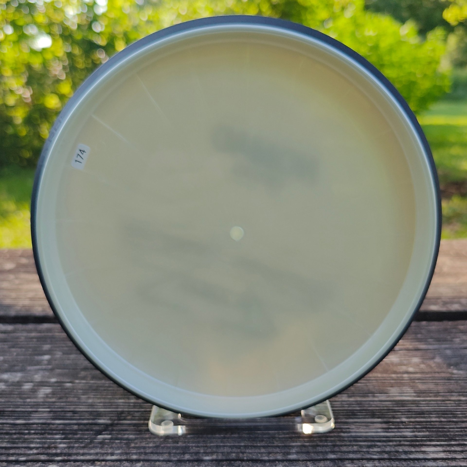 2021 World Champion James Conrad MVP Plasma Nomad - 175g