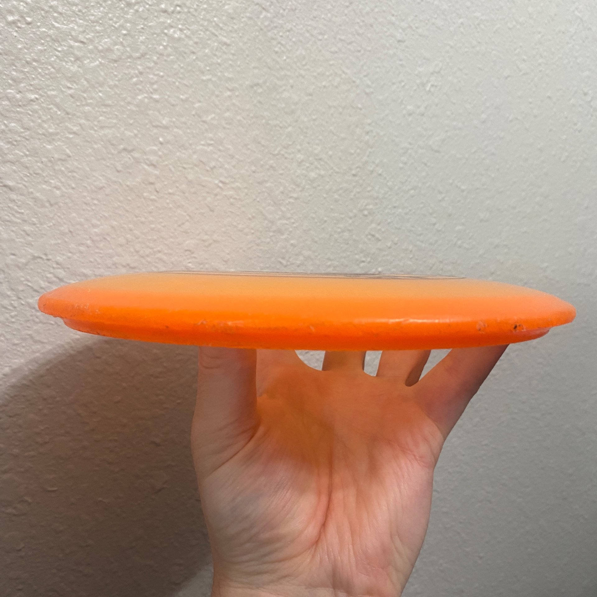 Innova DX Roc (Premie Pebble) 110g Big Bird