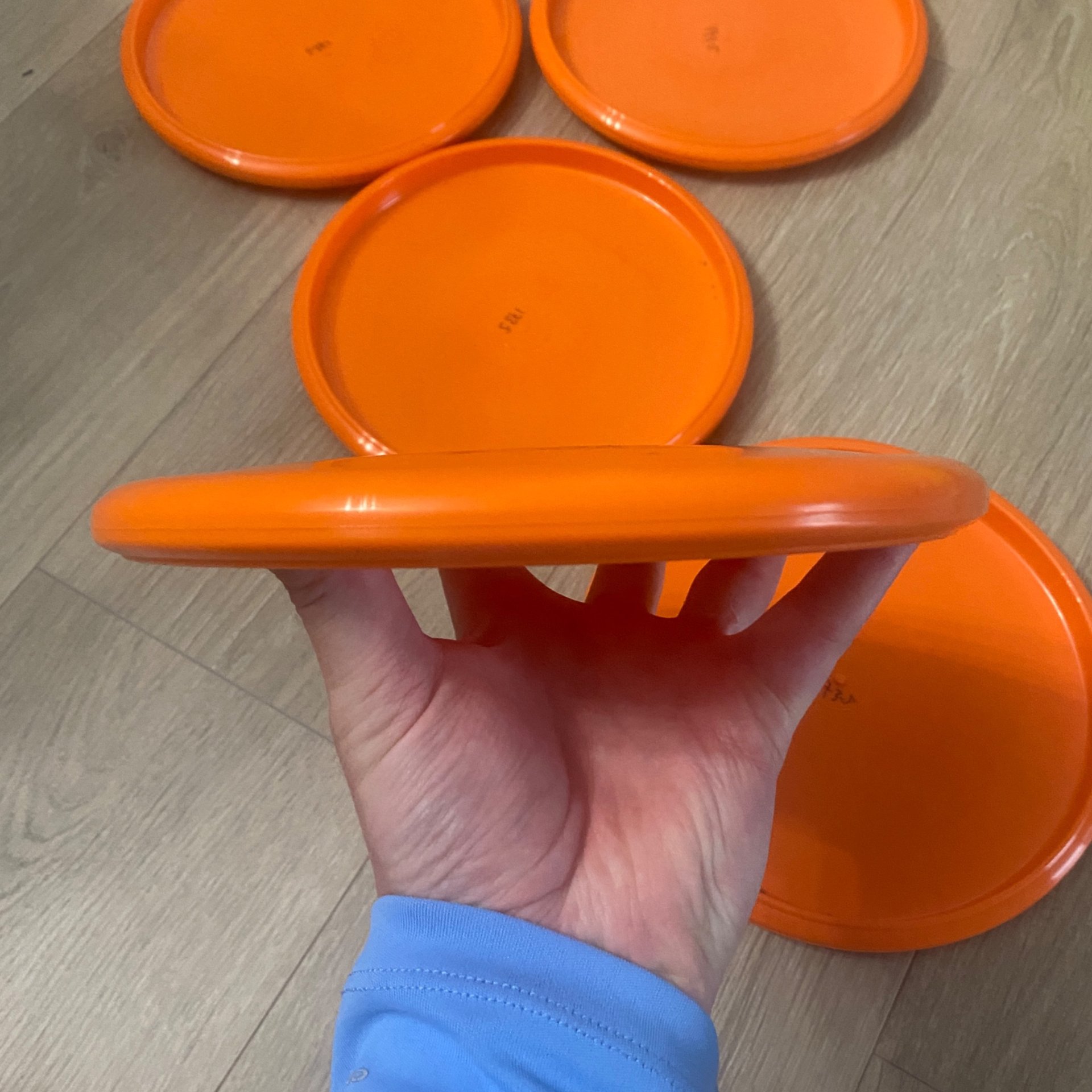 (5) Innova Star Animals (Lot)