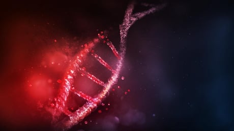 A fehérjék többet mesélnek az ősi emberről, mint a DNS valaha is fog