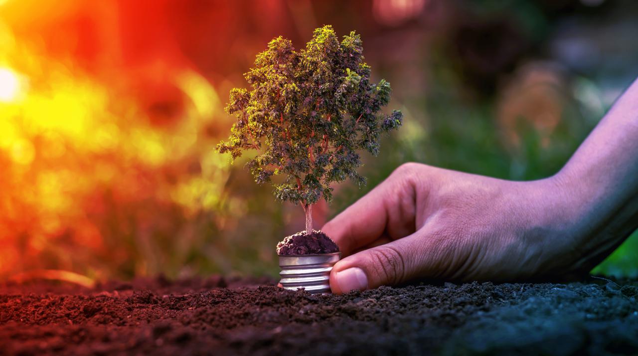 Nincs több idő halogatni az üzleti IT zöldítését