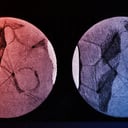 Öt megdöbbentő tudományos tévedés, amiről nehéz elhinni hogy igaz