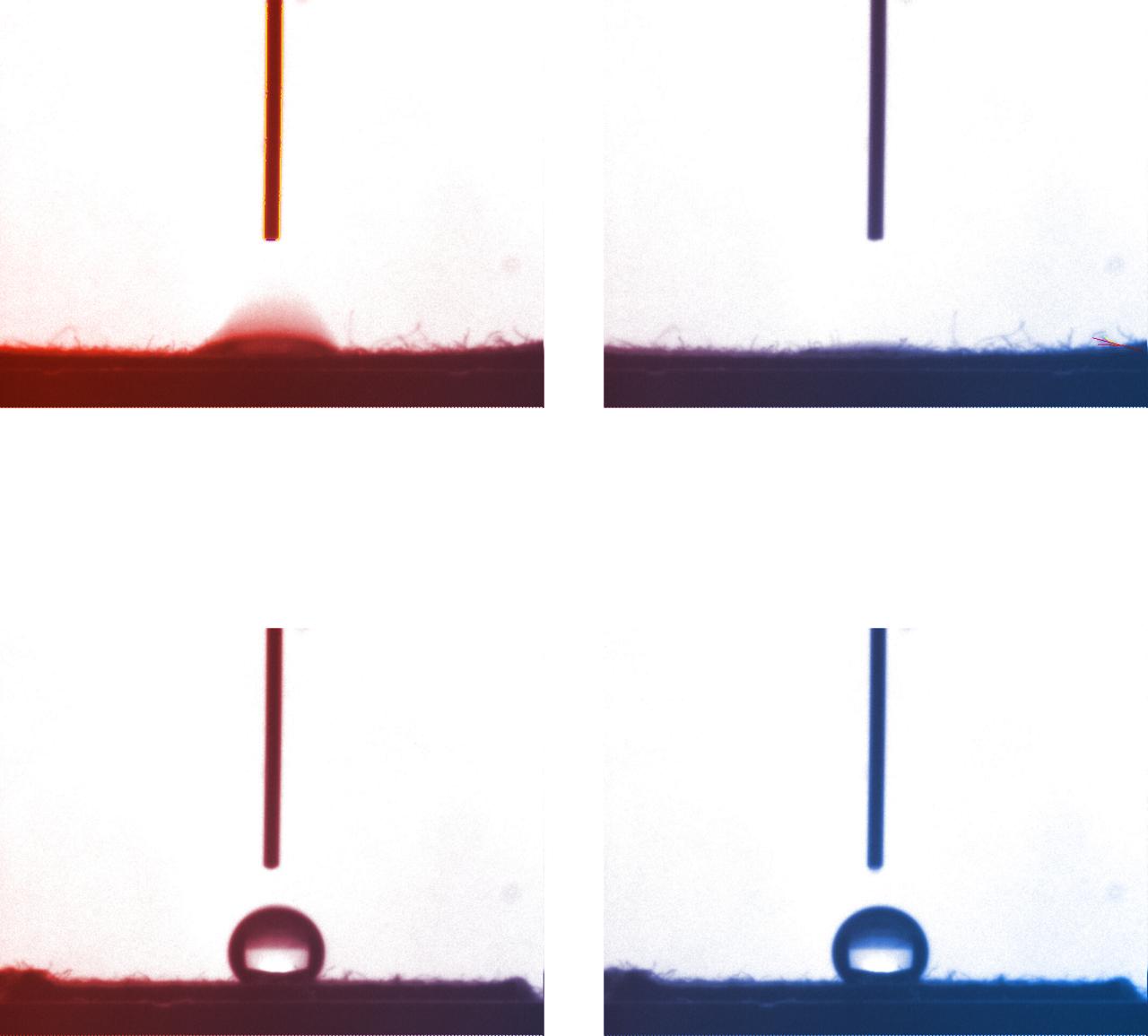 Vegyszerektől a zöld szuperhősökig, így változnak a pamut ruhák