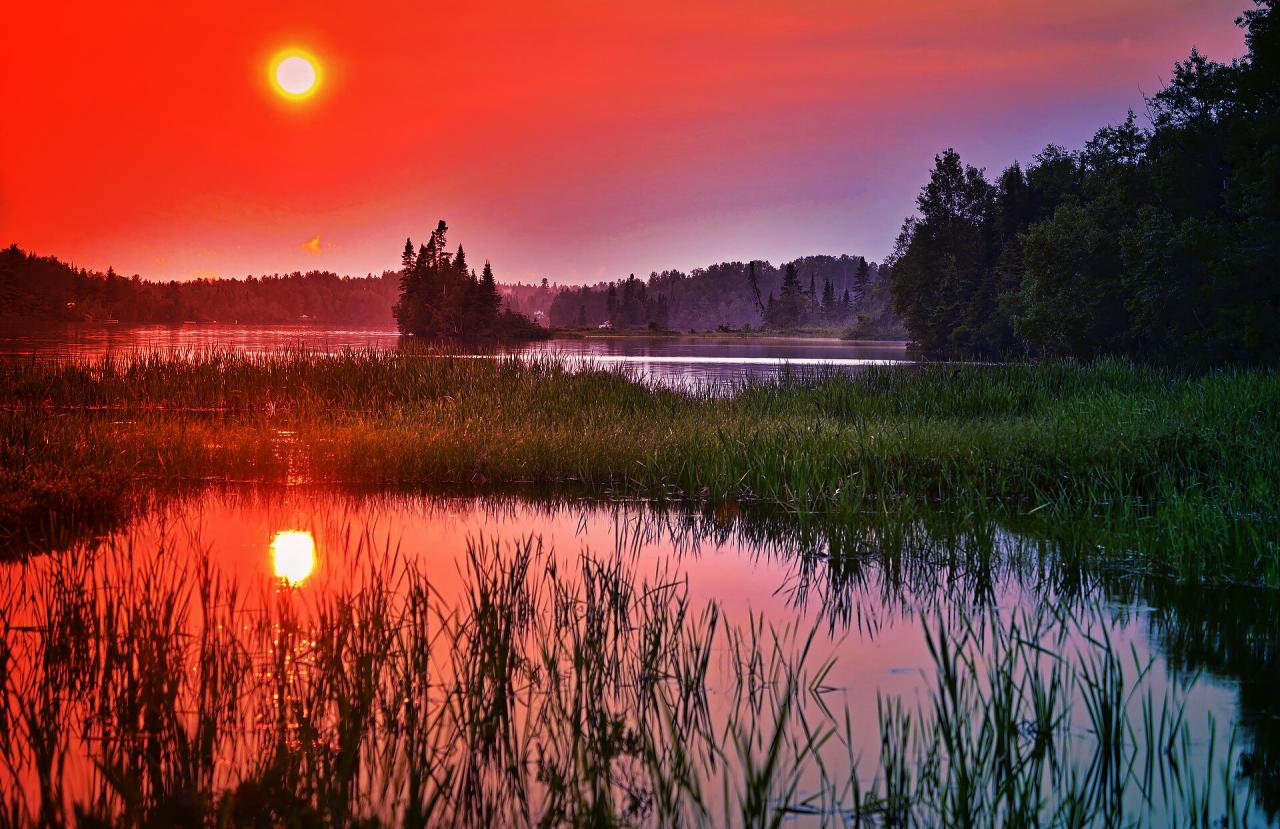 Veszélyes higany bujkál az alpesi lápok mélyén