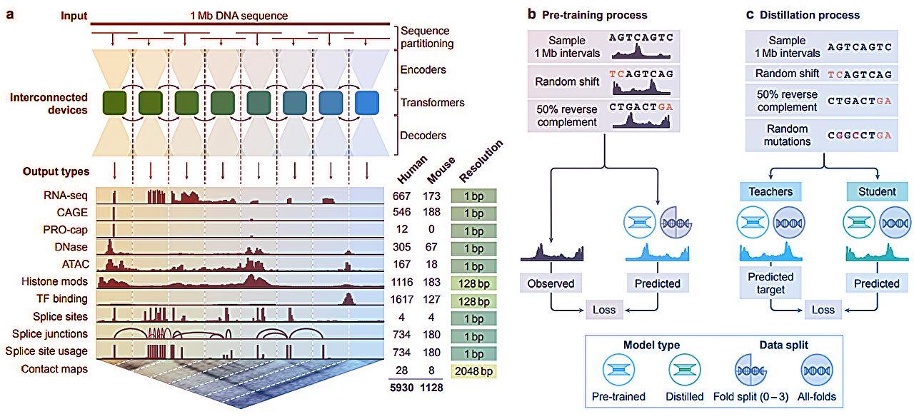 A hatalmas biológiai adatbázisok mostantól mesterséges intelligenciával dolgoznak