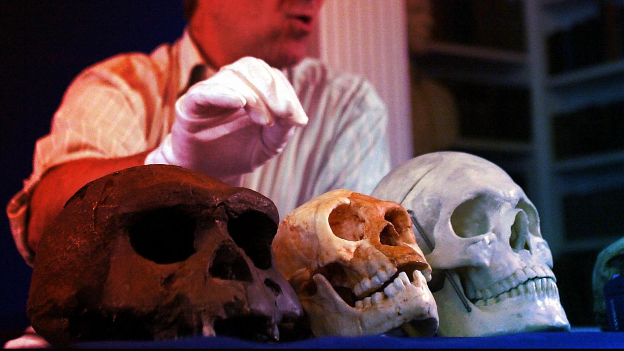 A hobbitos ősemberek agya nem lett nagyobb az idők során