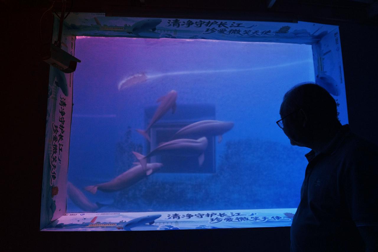 A Jangce titkos lakói: veszélyben a folyó élővilága