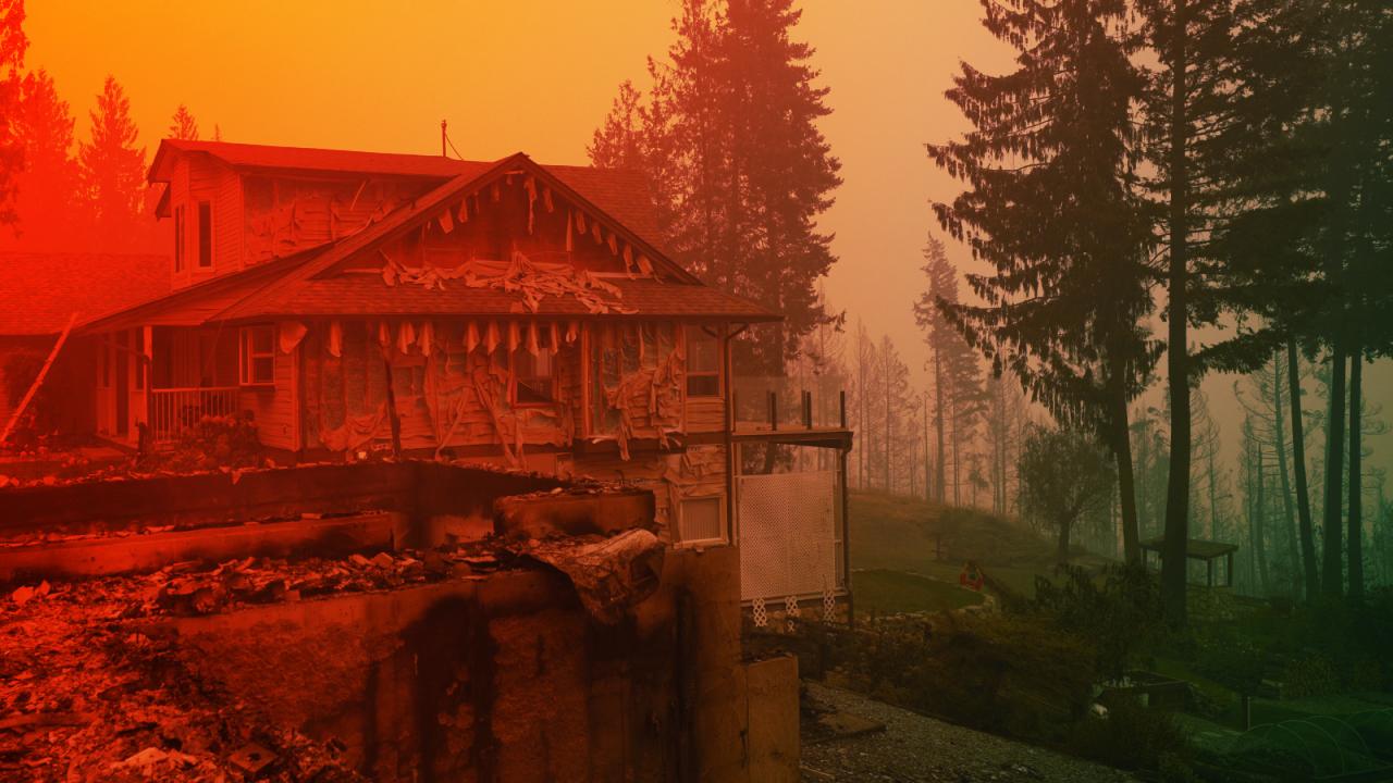 A kanadai erdőtüzek miatt világszerte 87 ezren haltak meg idő előtt