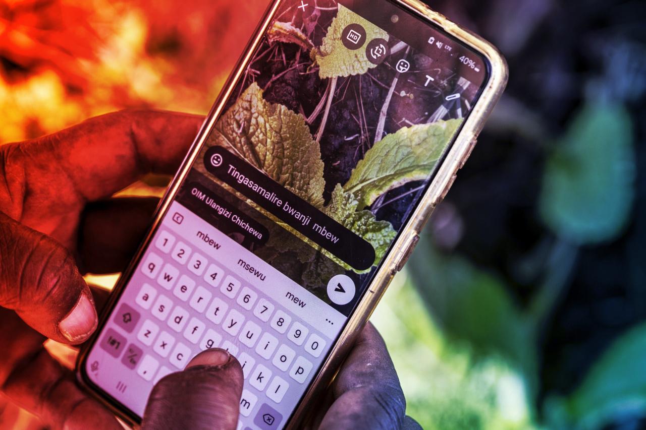 A kisgazdák új reménye, mesterséges intelligencia segít a klímaváltozásban