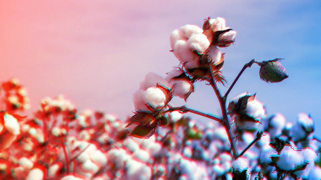 A mesterséges intelligencia segít, hogy kevesebb vegyszerrel nagyobb legyen a termés