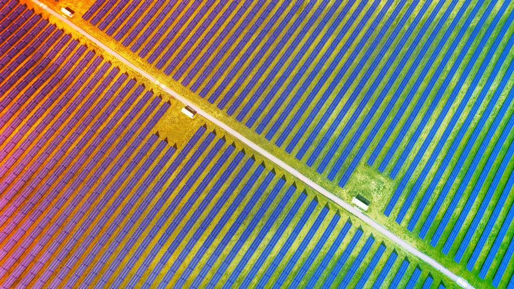 Az amerikai kukorica új élete: ragasztóból gazdaság