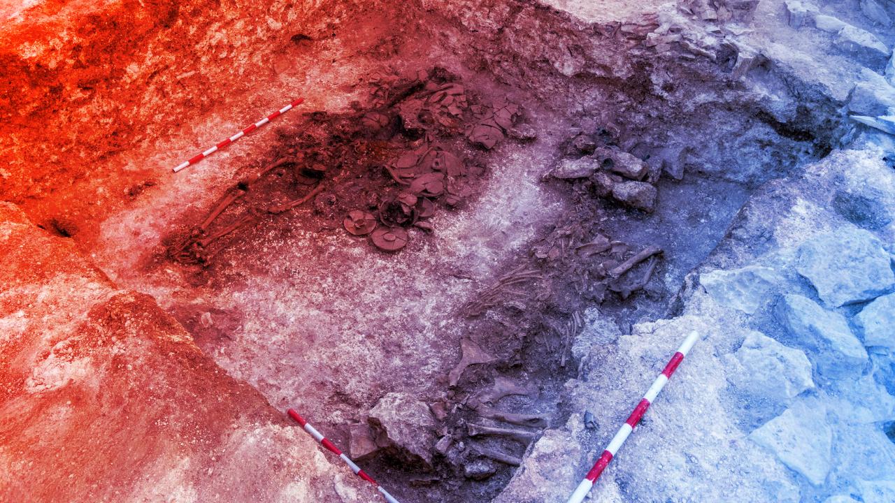 Az aranykoszorús Sakar ura egy napelempark miatt került elő