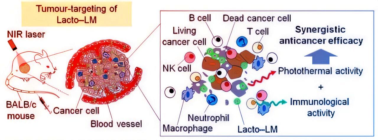 Az áttörő folyékonyfém-nanoanyagok új fegyvere a rákkal szemben