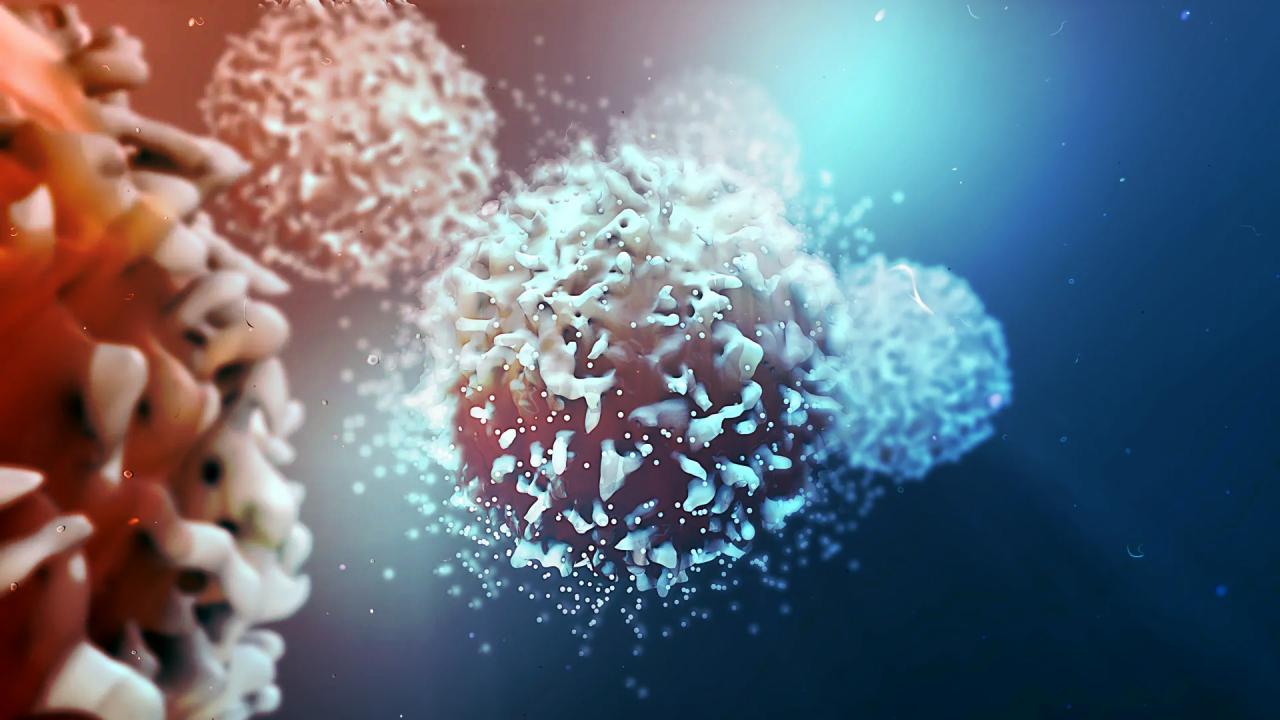 Az egyszerű cukor titkos fegyver a rák ellen