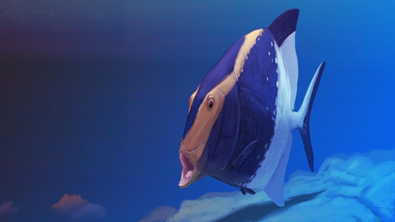 Az első kétállkapcsos hal: óriási meglepetés a múltból