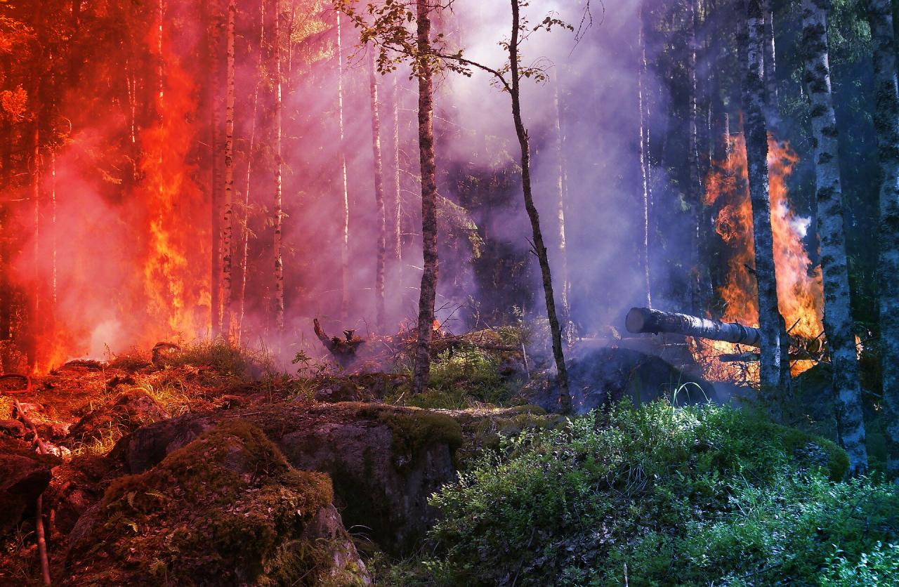 Az északi tűzvész újabb kanadai lakosokat űz el otthonukból