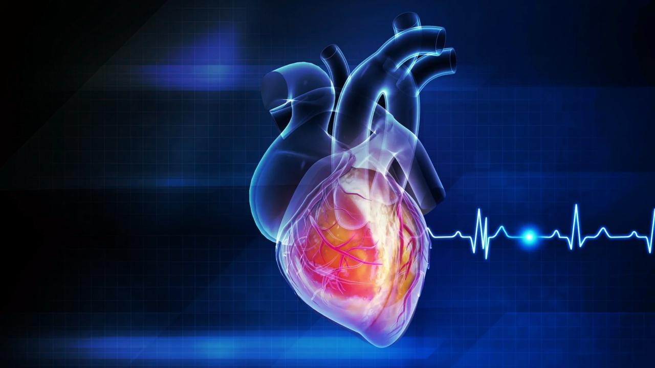 Az infarktus lehet, hogy fertőző – ezt senki sem látta előre