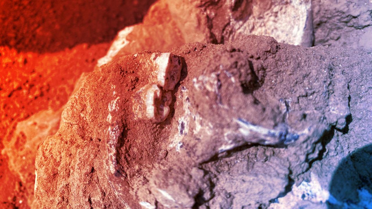 Az ősi állkapocs, amely átírja az emberi múltat