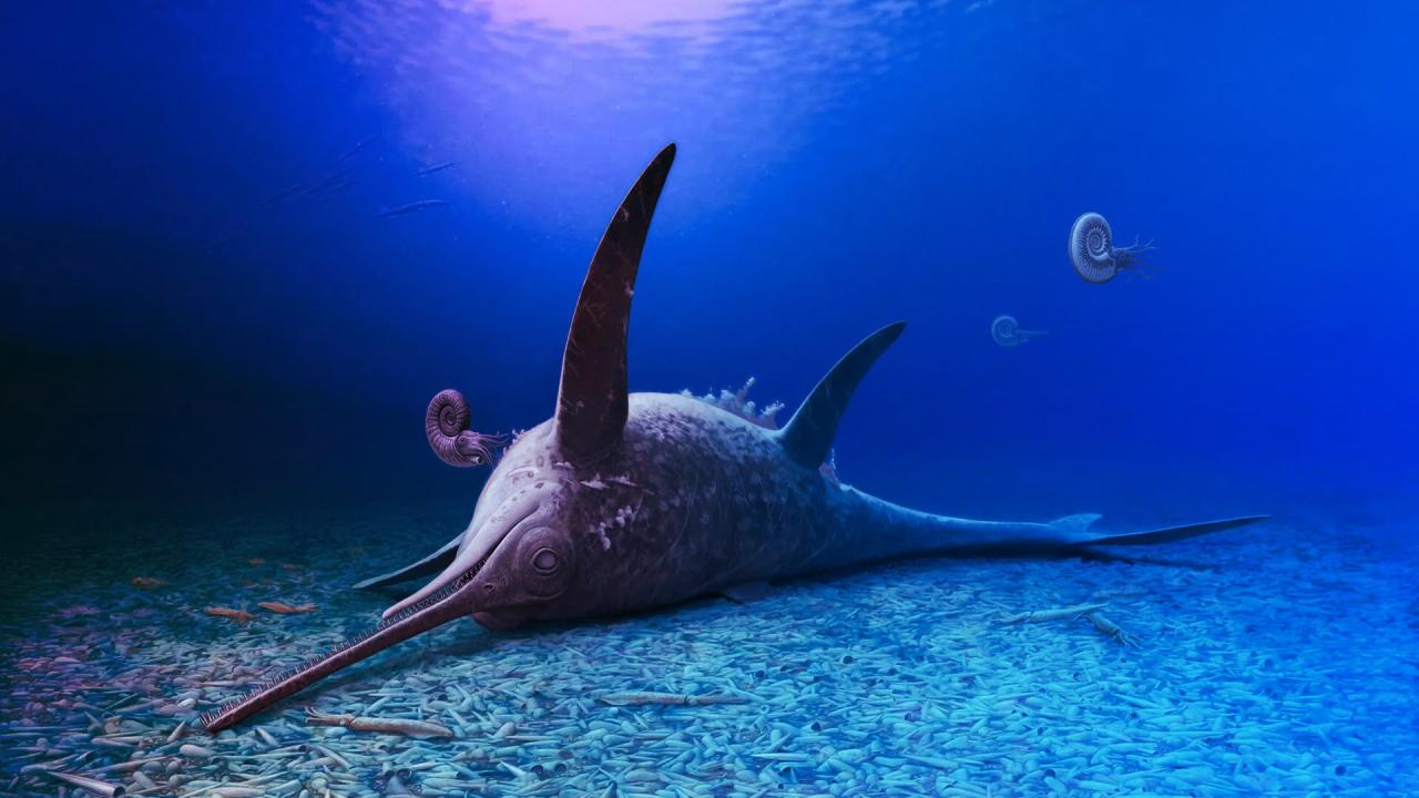 Az ősi kardorrú tengeri szörny bukkant fel Németországban