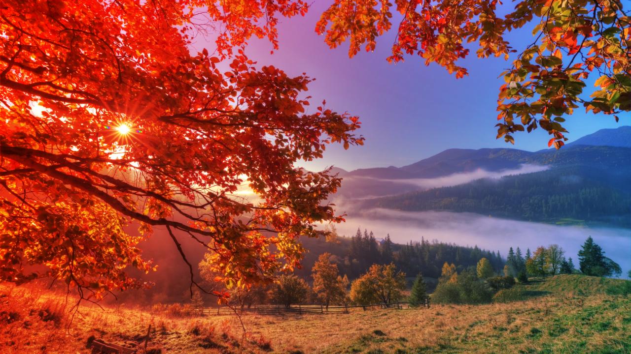 Az őszi napéjegyenlőség titkai: miért fordul minden ősszel a világ?