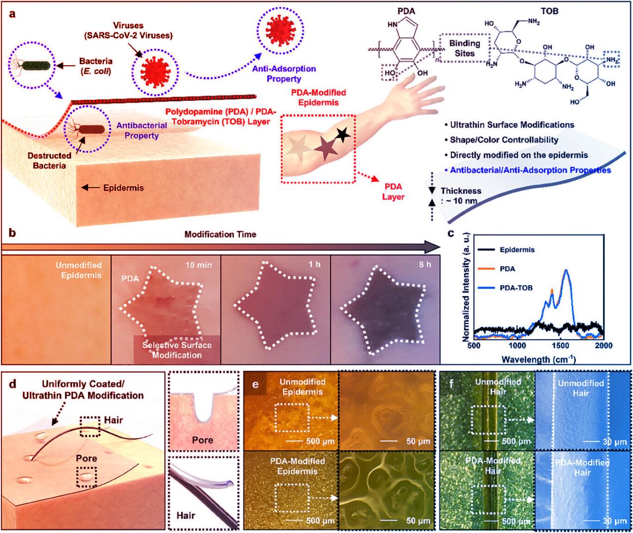 Az új szuperbevonat, amely legyőzi a baktériumokat és vírusokat