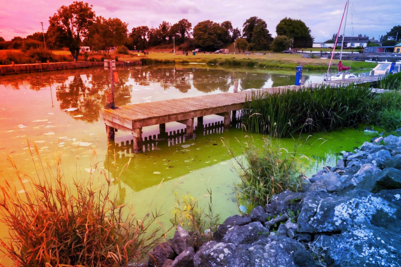 Britannia legnagyobb tava fuldoklik, algák lepik el a vizet