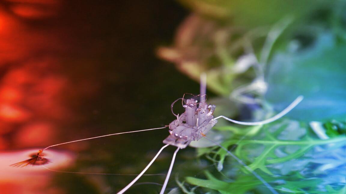 Egy apró robot is képes vízen sétálni, mi csak csodálhatjuk