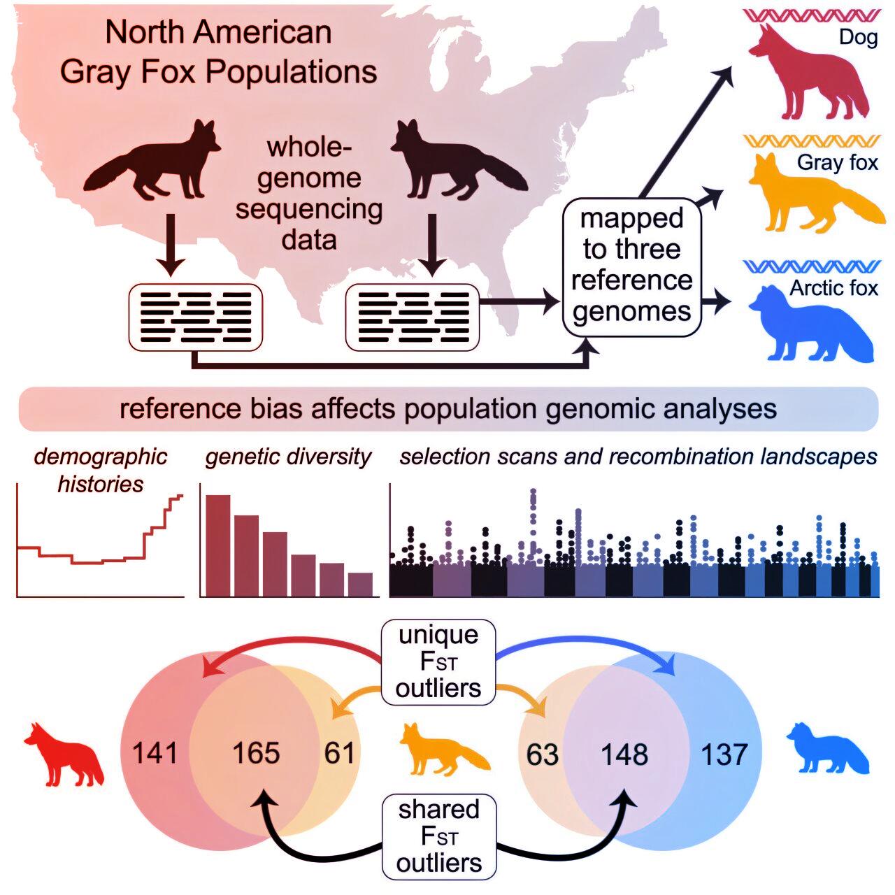 Először a megfelelő DNS-t találjuk meg, utána jöhet minden más az életmentésben