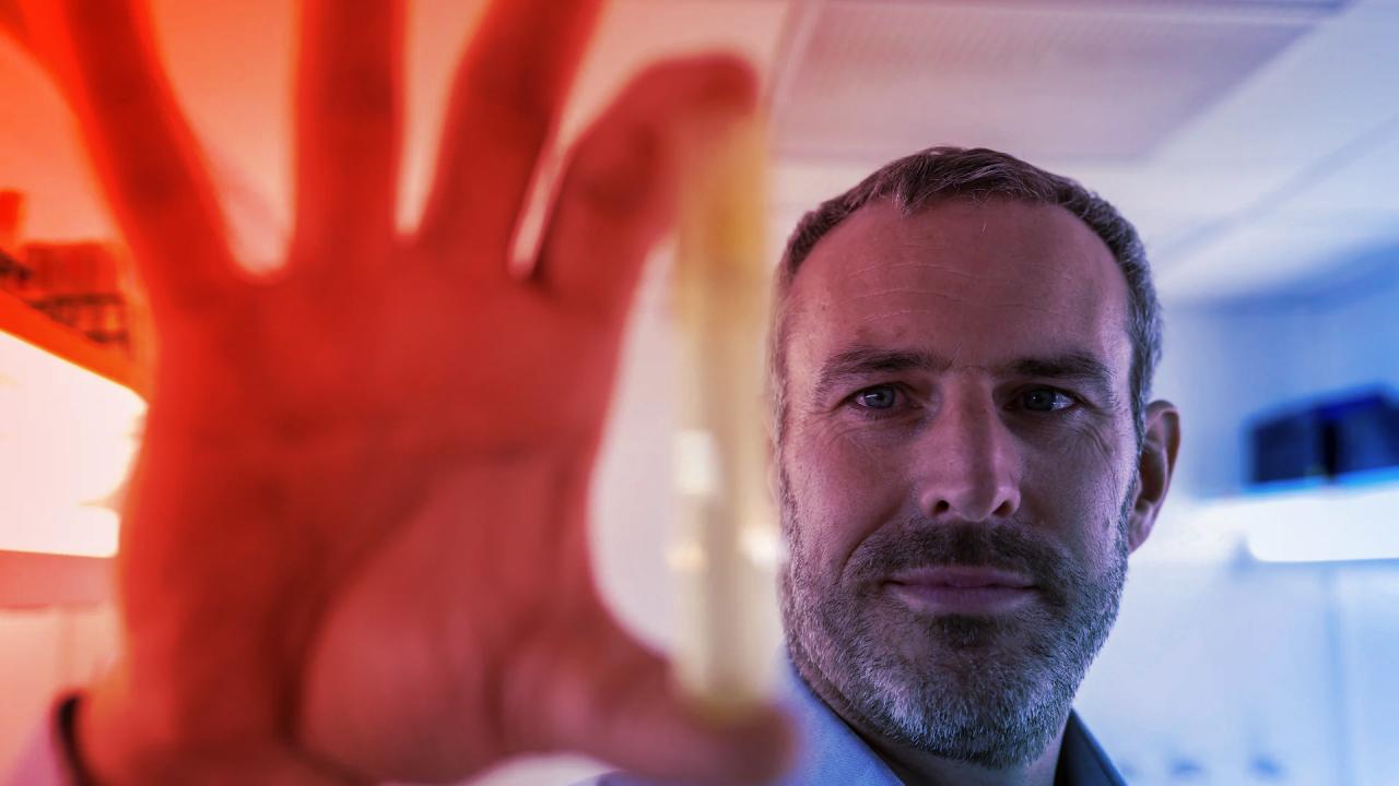 Ha eltűnne ez a pici tengeri állat, bajba kerülne az óceán