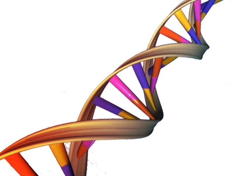 Háromszor gyorsabb lehet a génszerkesztés ezzel az új trükkel