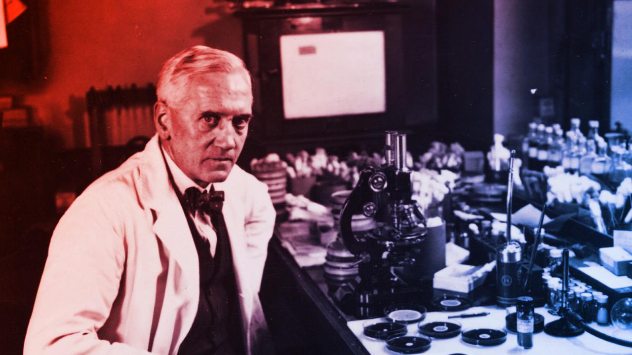 Hogyan változtatta meg a világot egy véletlen felfedezés, az első antibiotikum