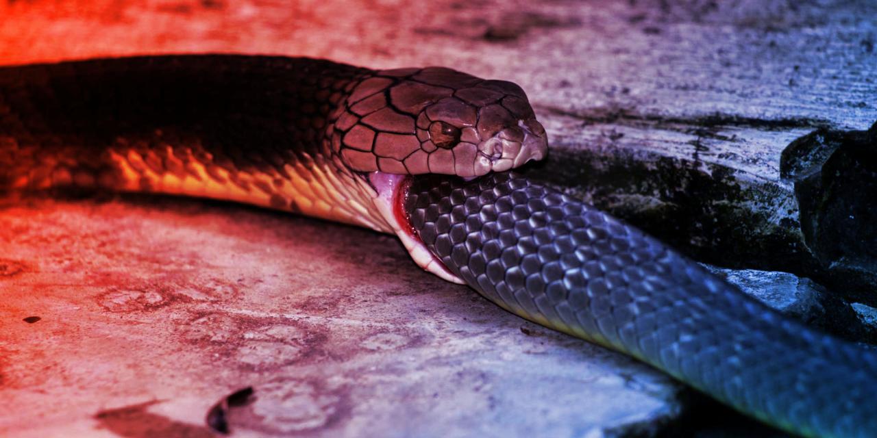 Már a Google mesterséges intelligenciája is magát ismétli, botok másolják egymást