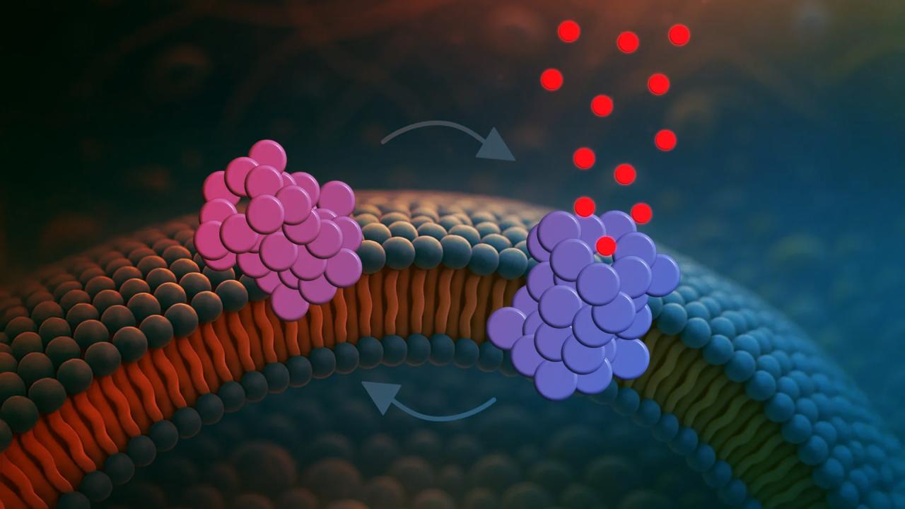 Meghökkentő felfedezés, egy fehérje okozhatja a Parkinson-kórt