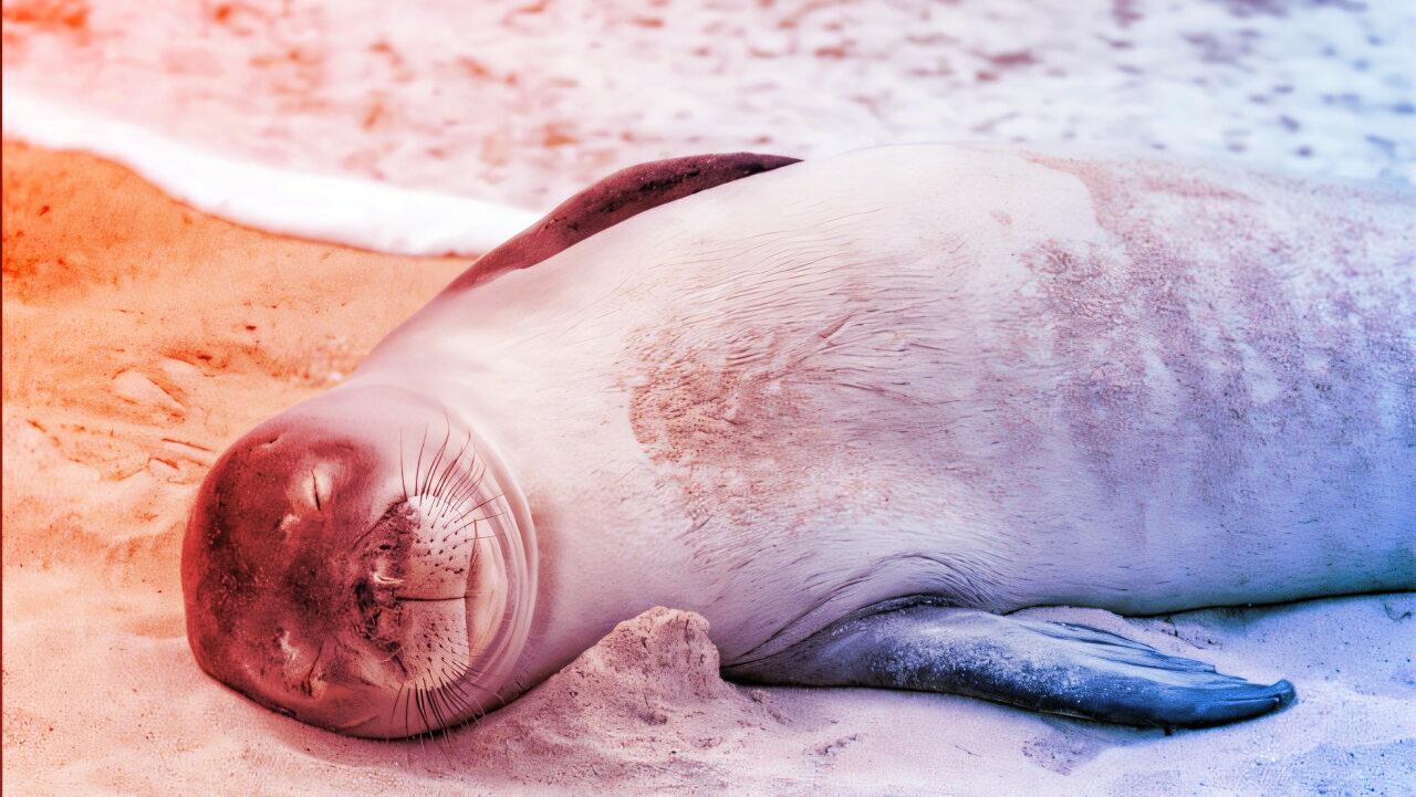 Meglepő dolgokat tártak fel, az ember rombol, az agy hihetetlen titkokat rejt