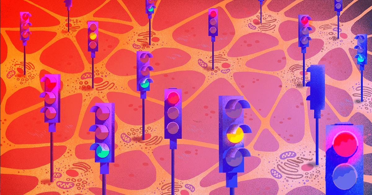 Miért nem szabadulnak el a gondolataink, az agy titka ebben rejlik