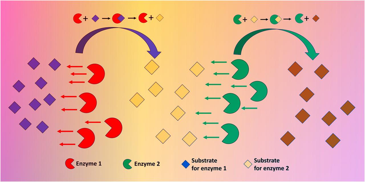 Nanobotok csapatban keresik a gyógyszerek új generációját