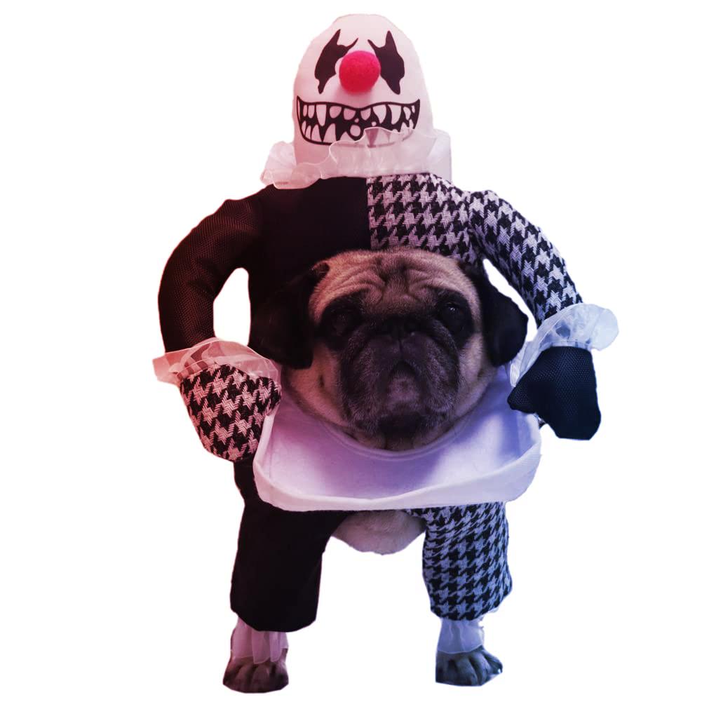 Ördögi jelmez kutyáknak – rémisztő vagy nevetséges?