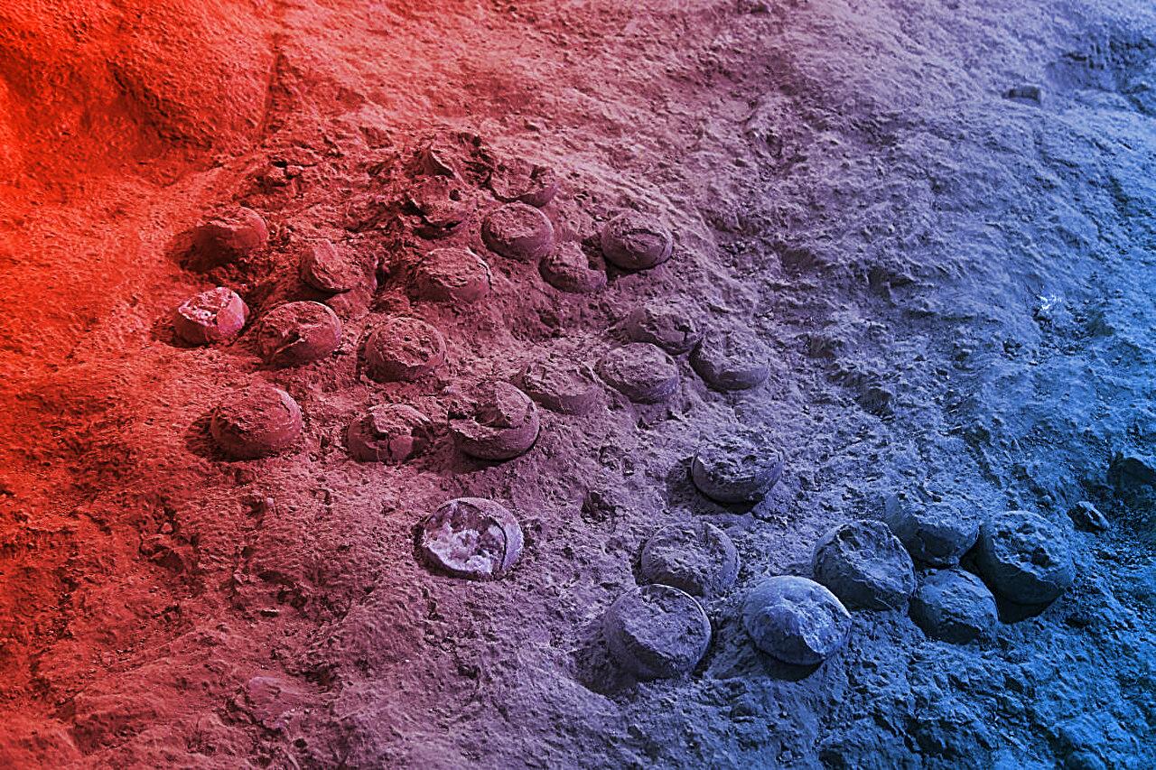 Ősi dinótojások, új fény vetül a krétakor titkaira